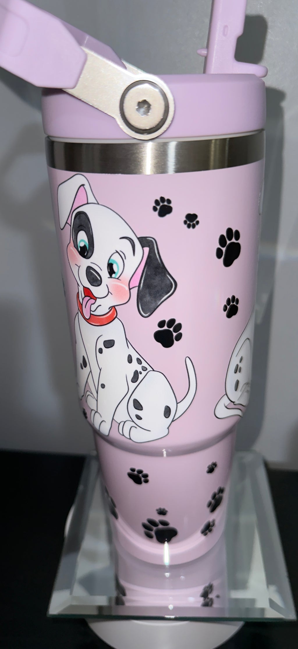 24oz stainless steel water bottle
