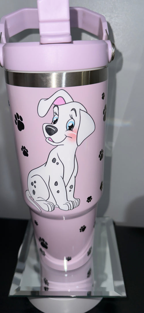 24oz stainless steel water bottle